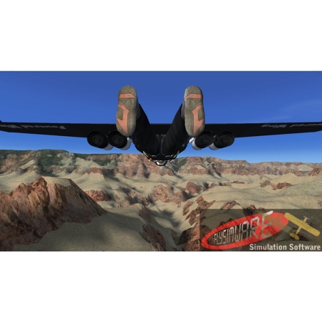 Flysimware's Powered Wing 2011