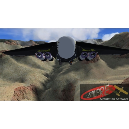 Flysimware's Powered Wing 2011