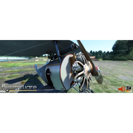 FLYSIMWARE NIEUPORT 24 MSFS2020
