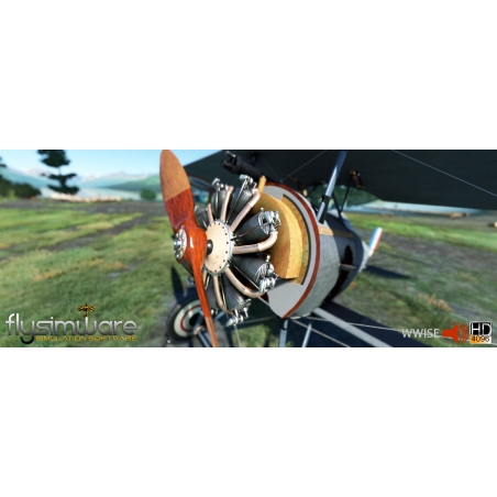 FLYSIMWARE NIEUPORT 24 MSFS2020