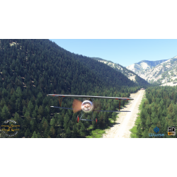 FLYSIMWARE NIEUPORT 24 MSFS2024
