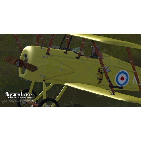 1918TomasMorseScout