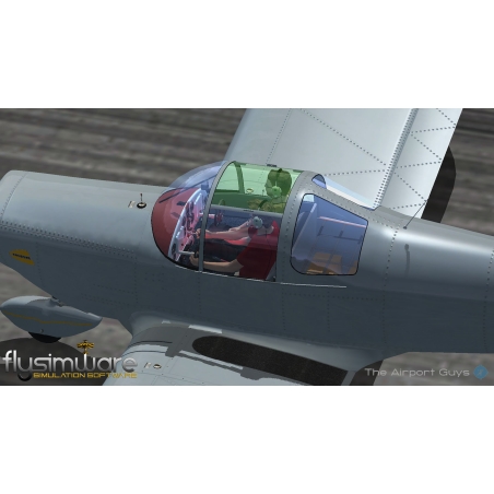 Flysimware Ercoupe 415C