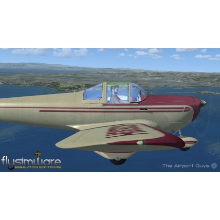 Flysimware Ercoupe 415C