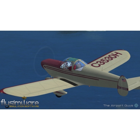 Flysimware Ercoupe 415C