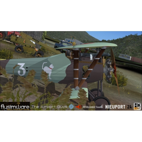 Flysimware's 1917 NIEUPORT 24