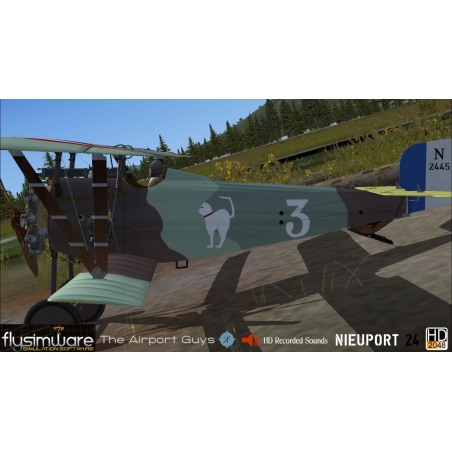 Flysimware's 1917 NIEUPORT 24