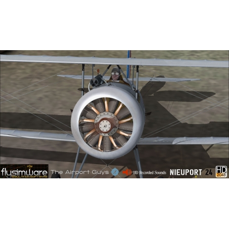 Flysimware's 1917 NIEUPORT 24