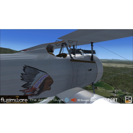 Flysimware's 1917 NIEUPORT 24
