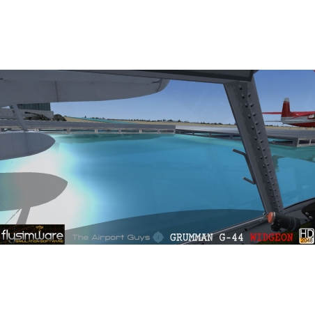 Flysimware's Grumman G-44A Widgeon