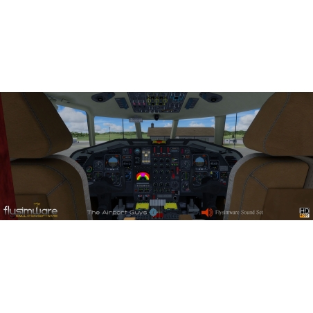 Flysimware's Dassault Falcon 50